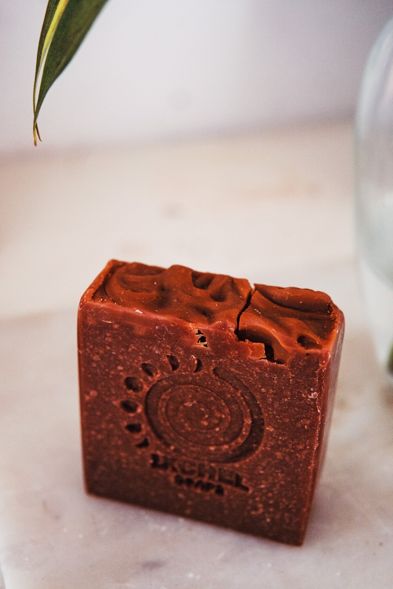 "Ageless Beauty" Tepezcohuite Vegan Soap