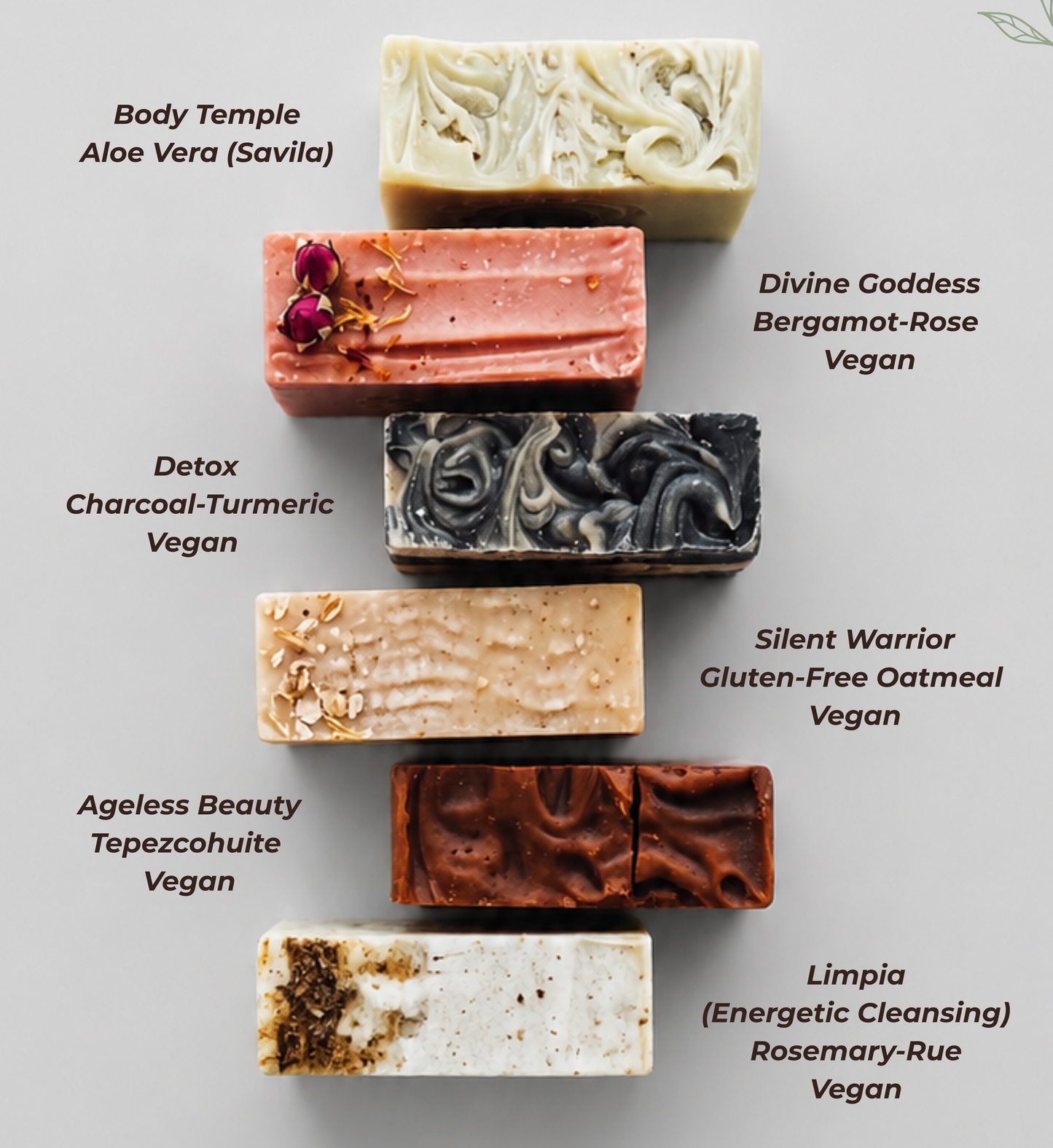 Sample pack 6 quarters of different soap bars